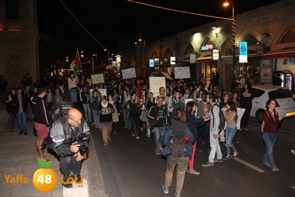 brafer td oi1130 (13).JPG